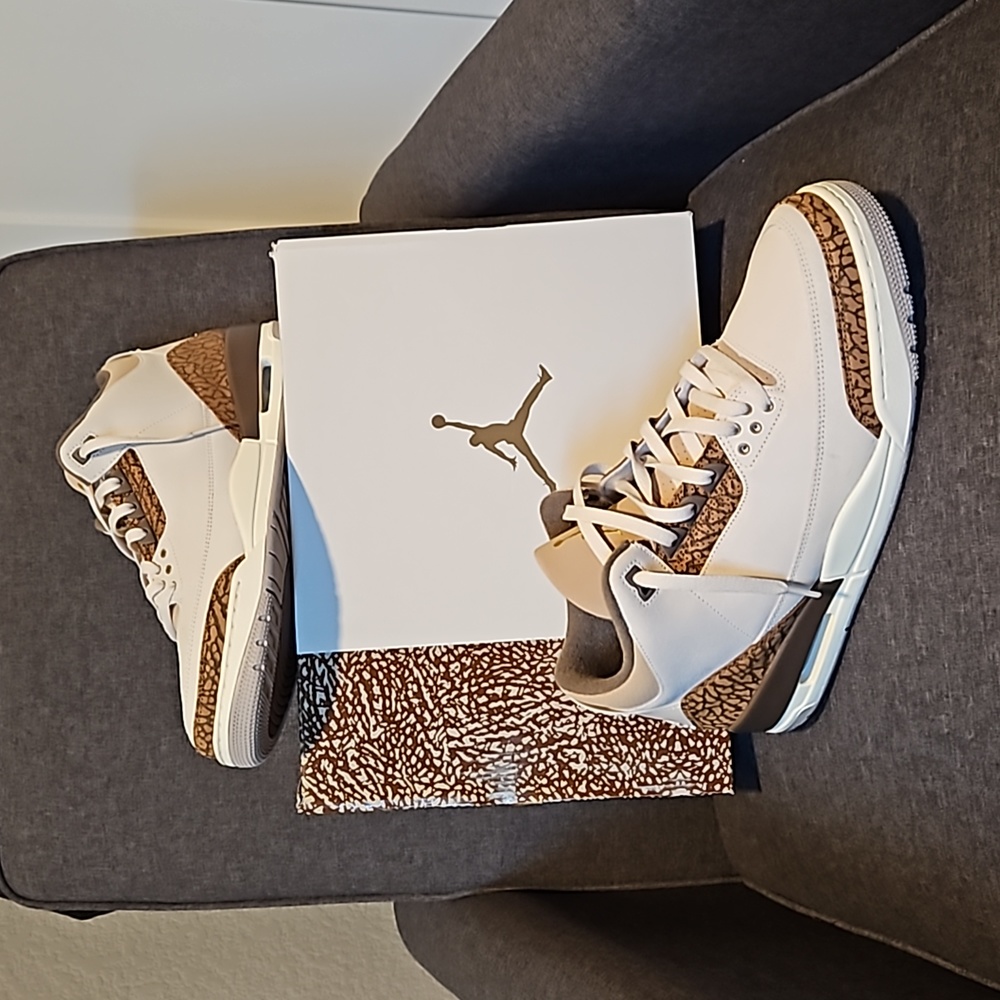 Men's size 13 Air Jordan 3 retro "Palomino".